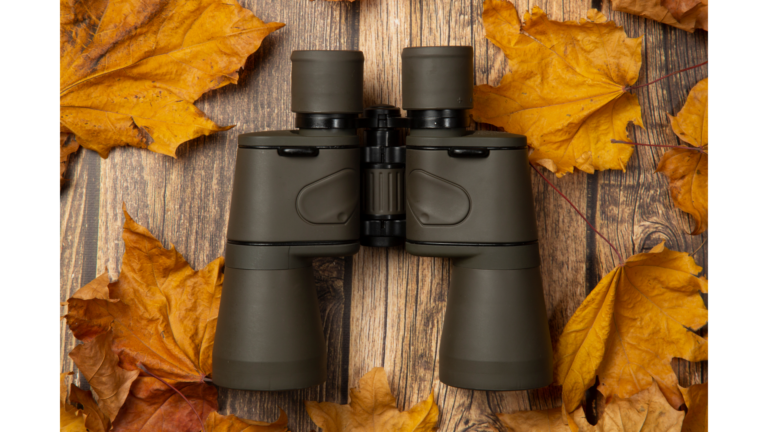 Top best Binoculars for Hunting Spot  Target with Precision