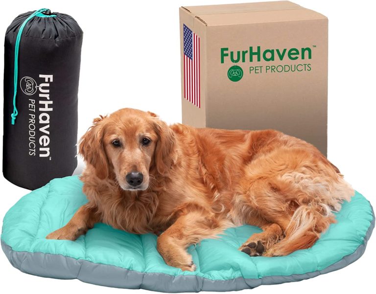 Camp gear the best  for dogs