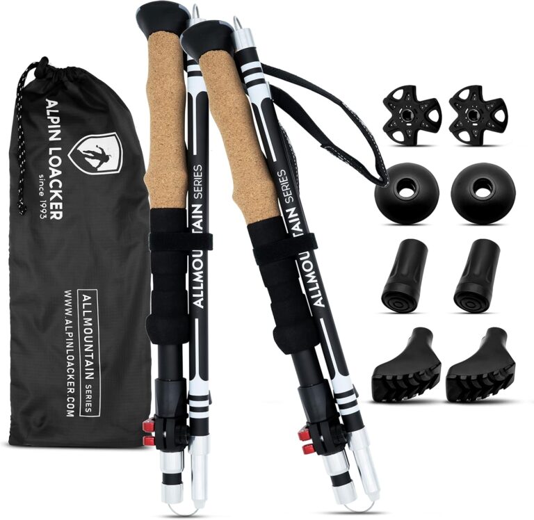 best ski poles on the market